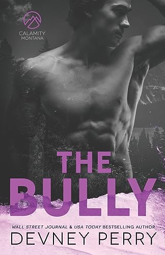 The Bully view 2