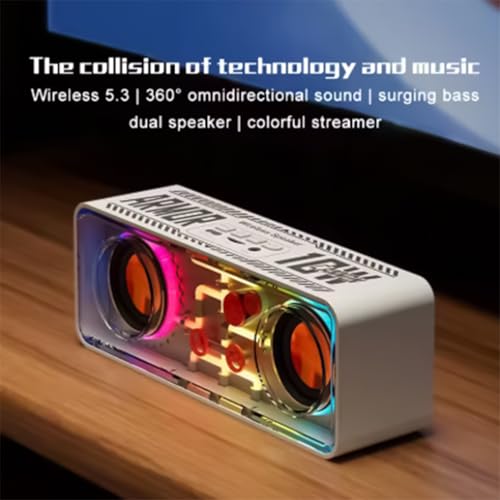 Enceinte portable pour éliminer les grésillements avec son stéréo - 2