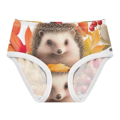 Cotton Toddler Girls Underwear Cute Hedgehog Autumn Leaves Cute Panties Girl Fun Kids Briefs Undies 2t