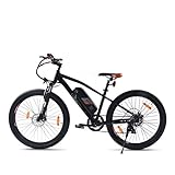  SachsenRad E-Bike R6 250W Motor 26-Zoll 7-Gang-Schaltung Mechanische Scheibenbremse Kenda Breitreifen StVZO-Zertifiziert Schwarz