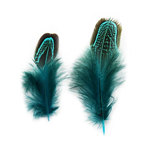 KOLIGHT Set of 50pcs Natural Dyed Pheasant Feathers 2-4 Inch DIY Decoration Clothing Accessories (Turquoise)