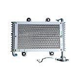 Radiatore for Bashan 200CC 250CC ATV Quad