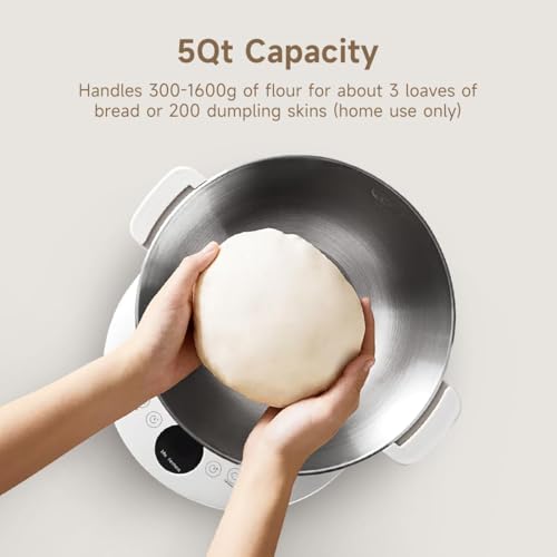 Stand Mixer For Pizza Dough