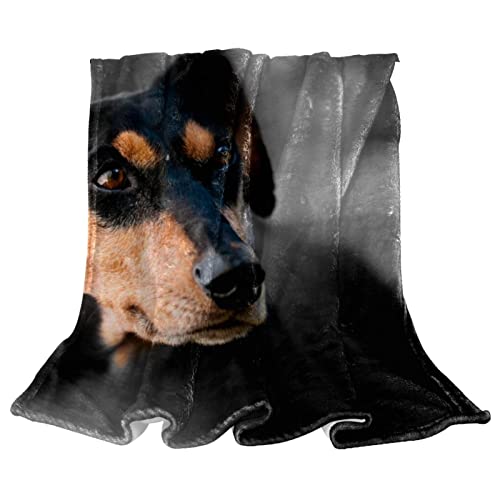 Couvertures chaudes et douces en microfibre premium noire