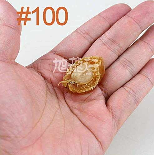 XLSEAFOOD Sun Dried Haliotis Australia AAAA Grade 227g 45-60 pcs per pack 美国旭龙行 特级澳洲溏心干鲍鱼 常规装 0.5磅 227克 (100#) - Thumbnail 5