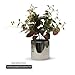 WGVI Silver Ceramic Cylinder Vase Width 5.5