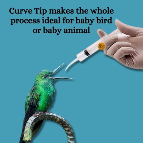 Image of Sage Square 12 ml Hand Feeding Syringe with Curve Tip | Feeding Needle and Syringe Kit | Precise Feeding Made Simple,Curve Tip Syringe for Birds, Hamsters, Puppies, Kittens, and More