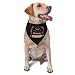 Bakery Cupcake Triangle Dog Bandana Scarf Accessories for Pet Bibs