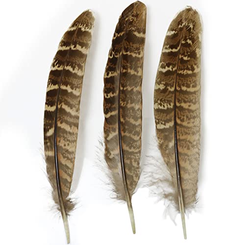 Natural Turkey Feather Luorng 20Pcs 5.9-7.9 Inches Natural Turkey Barred Feathers Crafts For Diy Crafts Making, Clothes Decoration, Family, Wedding, Birthday Party Decoration #TOP4