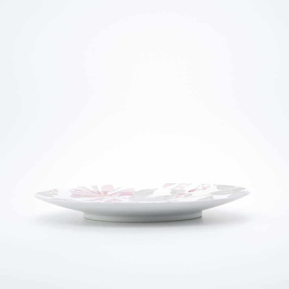 Amazon | ARITA PORCELAIN LAB フラットプレート M 化粧箱 直径