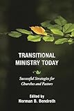 Transitional Ministry Today: Successful Strategies for Churches and Pastors