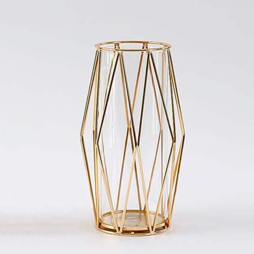 Vaso in Vetro con Supporto Geometrico in Metallo, Vaso Decorativo per Piante Idroponiche, Pampa e Rose, Elegante Centrotavola per Casa e Matrimonio - 22 cm, Oro
