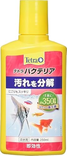 テト ラ (Te tra) バクテリア 250ミリリットル 水槽の汚れを分解するお掃除バクテリア添加剤 はたらく善玉菌 にごりもスッキリ 長期保存可能 熱帯魚 金魚 メダカ用