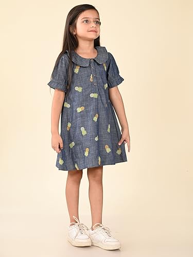 Image of LILPICKS Pineapple Applique Button Down A-line Denim DressFor Girls (Blue)