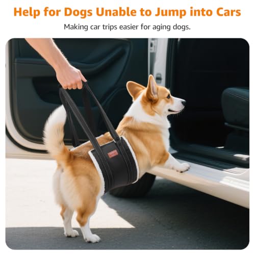 Image of LOOBANI Adjustable Dog Sling for Medium Dogs Hind Leg Support ACL Recovery