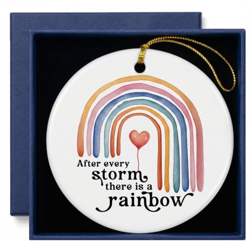 Baby Ornament Keepsake Gift Newborn Milestone Ornament First Christmas Baby Decoration Pregnancy Announcement Gift The Moment Everything Changed Rainbow Hanging Ornament 3 Inch