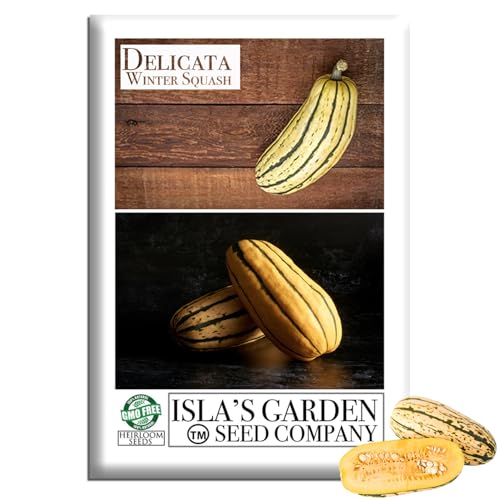 Delicata Winter Squash Seeds – 25+ Heirloom Seeds per Packet