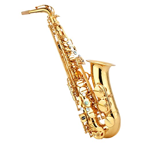 E-Flat Phosphor Bronze Alto Saxophone S҂vĈɓKĂ܂ l S҃TbNX(J[: 2)