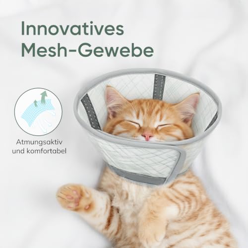 Collarín gato Supet verde L ideal para el descanso postoperatorio en casa 5