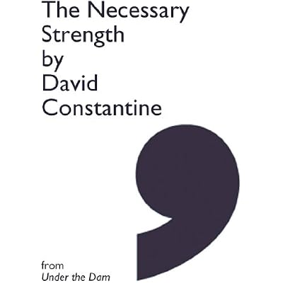 The Necessary Strength - eBook Single