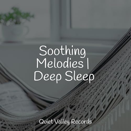 Soothing Melodies | Deep Sleep di Relaxing Nature Music su Amazon Music ...