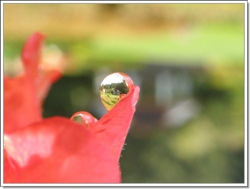 New 0.45x High Grade Wide Angle Conversion Lens (30mm) For Sony HDR-CX350V