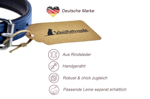 Schnüffelfreunde Halsband für Hunde aus Leder, Hundehalsband für den großen, mittleren und kleinen Hund, Lederhalsband gepolstert, robust (L - 36-45cm, Blau)