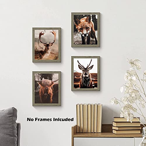 Animal Highland Cow Fox Deer Wall Art, Highland Cattle Art Print Farmhouse Decor, Nature Western Country Animal Canvas Print For Farmhouse Bedroom Living Room Wall Decor, Set Of 4(8X10 Inch Unframed) #TOP3