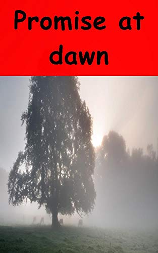 Promise at dawn (Afrikaans Edition)