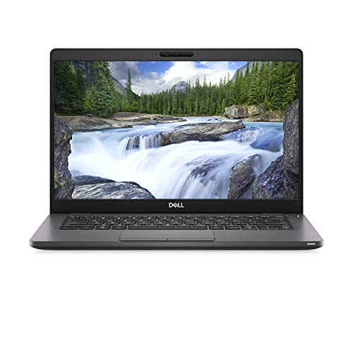 Dell Latitude 5300/Core i5-8265U/8GB/256GB (Renewed)