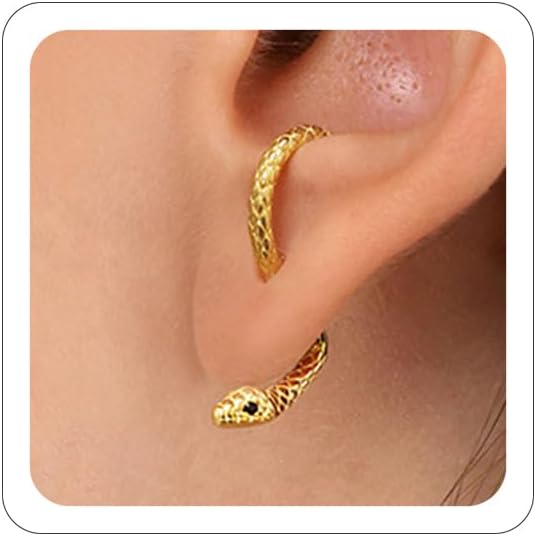 Snake Earrings for Women – Gold Silver Front...