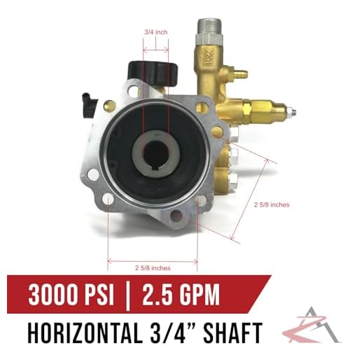 Annovi Reverberi 3000 PSI Water Pump