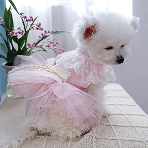 Dog Tutu Dresses For Small Dogs Girls Puppy Summer Dresses Pet Dog Bowknot Princess Dress Cute Outfits Dog Clothes For Yorkie Female Cat Small Pets #TOP2
