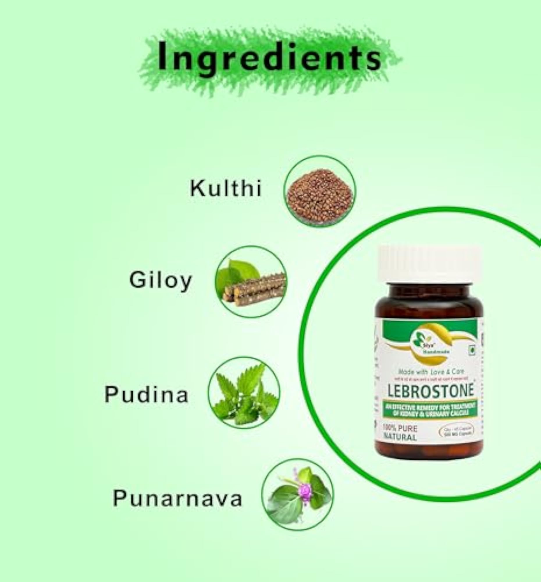 Siya Lebrostone 45 Capsules for Kidney Detox