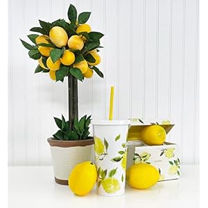 Kate Spade New York Insulated Tumbler with Reusable Straw 20 Ounce Travel Cup with Lid Lemons