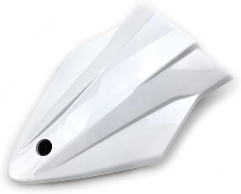 バイクのテールセクションカウル S 1000 RR S 1000 RR S1000RR S1000R