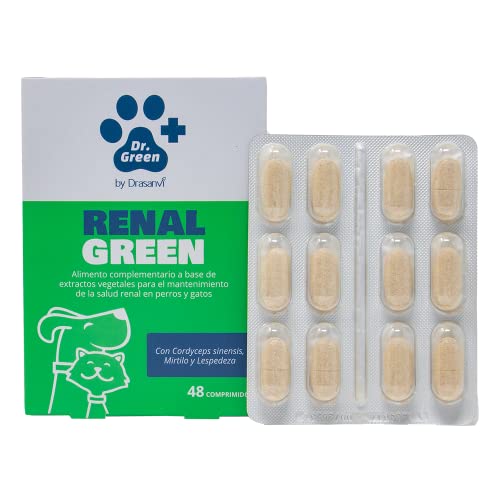 DRASANVI RENALGREEN 48 Comprimidos DR Green
