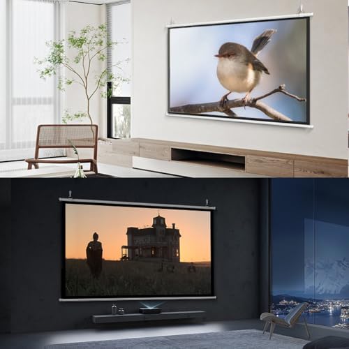 Pantalla Manual Retráctil 40'' 4:3 para Proyector miniatura 7