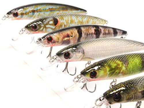 6 Hard Baits Fishing Lures Plus Free Tackle Box Slow Flaoting Tight Wobble