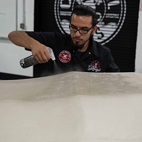 Chemical Guys HOL_996 Convertible Top Cleaner and Convertible Top Protectant Kit (16 oz) (2