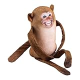 Accessoires de farce: non seulement pour le plaisir en famille, mais aussi merveilleux comme un accessoire de farce pour ajouter un rire supplémentaire aux fêtes et aux événements, adaptés à toutes les occasions. Convient pour la décoration de la maison ou en tant que jouets