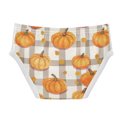 Wusikd Pumpkins Boys' Underwear Cotton Colorful Gingham Boys Briefs Soft Toddler Underwear 2T2