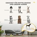 PawHut Hundesofa Hundecouch, Waschbarer Bezug, Haustiersofa mit Rückenlehne und Holzbeine, Katzensofa, Hundbett für mittelgroße Hunde unter 25 kg, 90cm x 78cm x 25cm, Grau