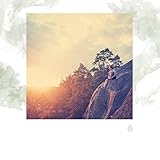  Qi Eléctrissant dans la Forêt