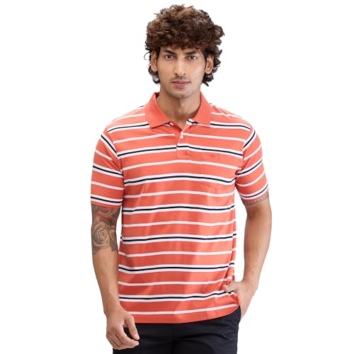 Image of Colorplus Men's Classic Fit Stripe Pattern Pure Cotton Half Sleeve Polo Neck Casual T-Shirt