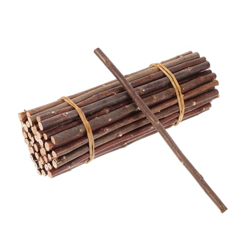 ibasenice 50Pcs Natural Dried Branch Sticks for Crafting Twigs for Decor Versatile Wooden Craft Materials for Artists and Hobbyists