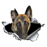 Sticker politiehondenvervoer rond | Stickers | Dog Sport Holland Sticker politiehondenvervoer rond | Stickers | Dog Sport Holland