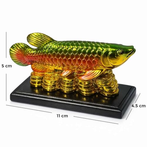 Image of Feng Shui Golden Arowana Fish Showpiece with Chinese Coins on Black Wooden Base | Green & Red Gradient Finish | Wealth & Prosperity Decor for Home, Office & Shop