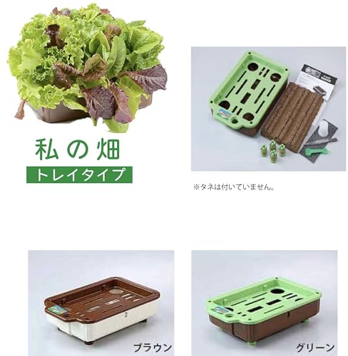 子どもも簡単にできる！家庭菜園（水耕栽培）キット『私の畑』(トレイタイプ) ベランダ菜園 サニーレタス 自由研究 室内 4枚目