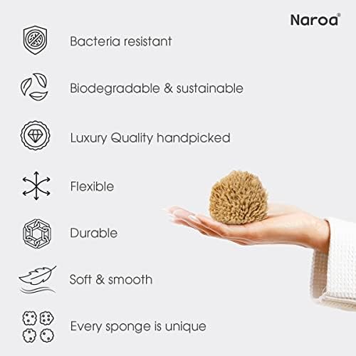 Naroa Natural Baby Sponge | Soft Sea Wool Unbleached Bath Sponge for Newborn | Baby Shower Essentials Pregnancy Gifts Boy Girl